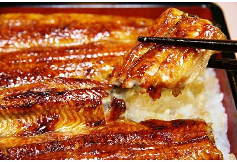 三島名物 うなぎ 蒲焼 (真空パック) 8人前（1人前あたり120g～140g）【 鰻 カット 冷蔵 静岡県 三島市 】