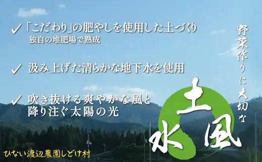 米野菜・山菜セット（5品目ほど）【115P3203】【ひない渡辺農園しどけ村】
