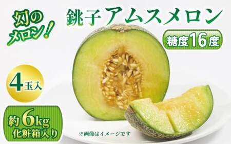 アムスメロン 4玉 メロン