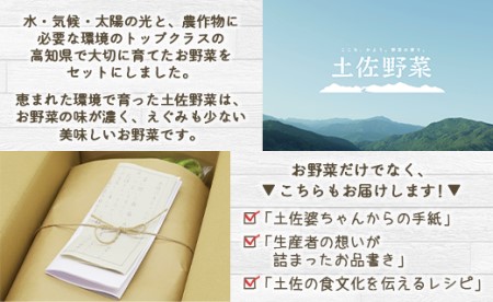 定期便6回コース 高知県香南市産 旬のお野菜詰合せ(10～13品目) - やさい おまかせ セット 土佐野菜 新鮮 Wpr-0009