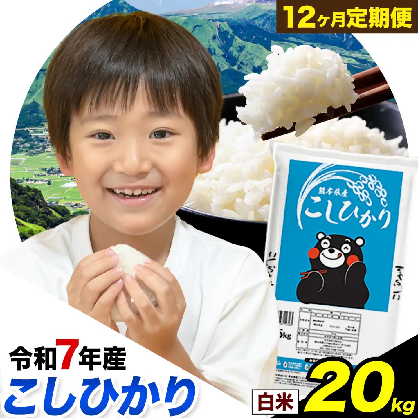 【12ヶ月定期便】令和7年産 定期便 こしひかり 白米 定期便 20kg 精米 熊本県産(南阿蘇村産含む)  南阿蘇村《お申込み翌月から出荷》｜人気米 熊本県産米  生活応援米
