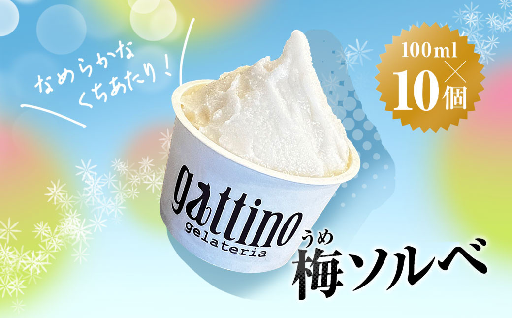 
gelateria gattino 安中市秋間梅林の梅ソルベ(シャーベット)１０個 /ANBB005
