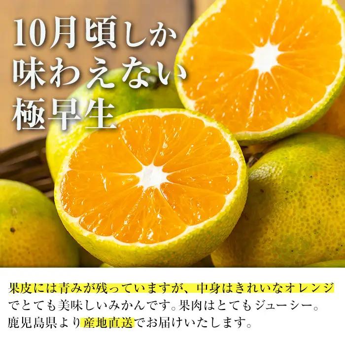 【先行予約】 いずみ産 竹ん子山 早生みかん 約5kg 【イーサイドライン】 i1178