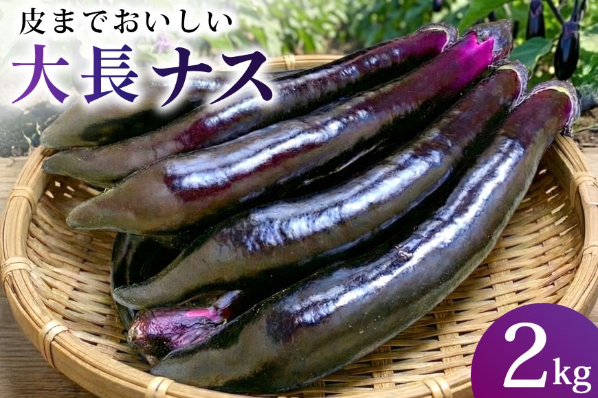 BF002【令和8年度出荷分】皮までおいしい！島原 大長ナス 2kg [ なす ナス 茄子 なすび 野菜 長ナス 天ぷら 焼き茄子 味噌汁 産地直送 長崎県 島原市 ]