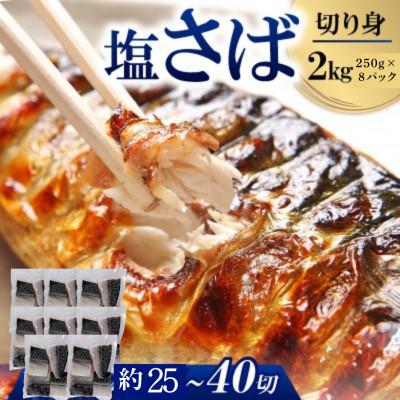 ふるさと納税 小浜市 塩サバ切身2kg(250g×8パック)約25〜40切れ