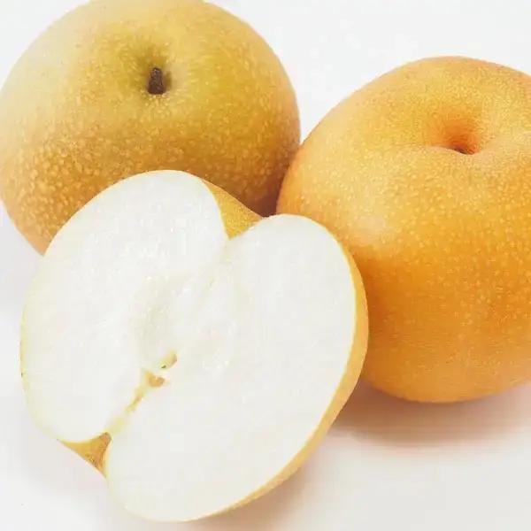 先行予約 和梨 新興 約5kg 新潟県 小林農園