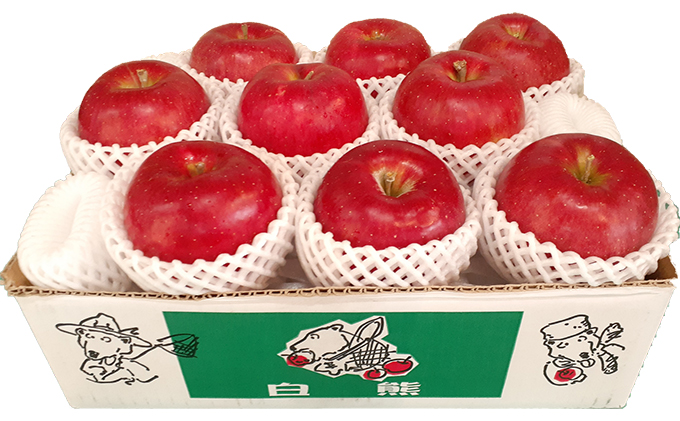 【11月発送】白熊 特選 サンふじ 絆 約3kg 糖度13度【弘前市産 青森りんご】