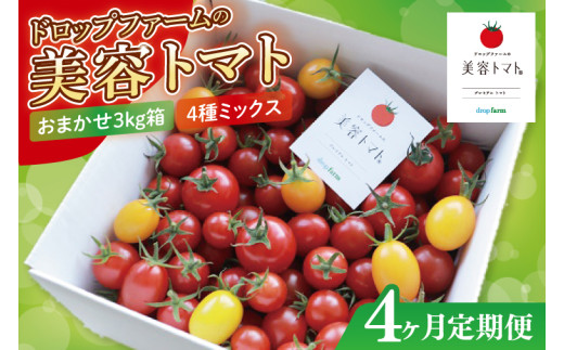 【4ヶ月定期便】【11月より順次発送】ドロップファームの美容トマトおまかせ3kg箱(４種ミックス)【とまと フルーツトマト 野菜ソムリエ 栄養士 アイコ イエローアイコ 小鈴 フルティカ 野菜 フレッシュ 水戸市 茨城県】（CK-23）