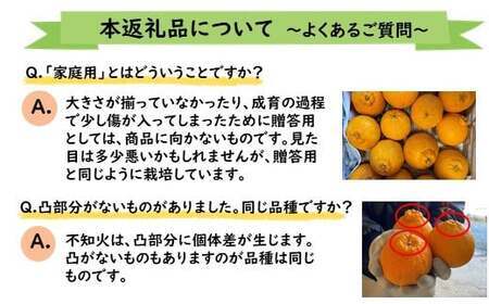 ≪ご家庭用≫ 不知火 約5kg | 果物 くだもの フルーツ 柑橘類 柑橘 デコポン みかん 熊本 玉名