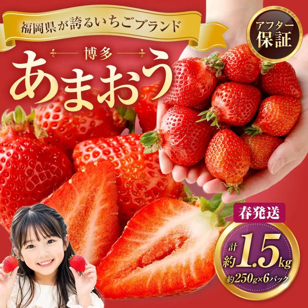 博多 あまおう 6パック（春）【2027年2月上旬～2027年4月下旬発送予定】