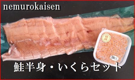 【年内配送可】鮭半身(切身)とイクラの醤油漬けセット C-57058