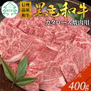 【ふるさと納税】信州高原和牛 焼肉用 400g (カタロース）焼肉 カタロース 焼肉 バーベキュー 国産 黒毛和牛 根羽村 長野県根羽村 信州 和牛 10000円 10,000円