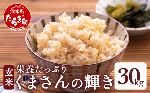 【令和8年産 玄米 】 先行予約 多良木町産 『くまさんの輝き 玄米』 30kg 10月中旬～発送 玄米 熊本県 たらぎ お米 米 熊本県 30キロ 044-0598
