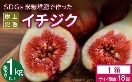 【先行予約】SDGs米糠堆肥で作った樹上完熟イチジク　訳あり品1キロ以上サイズ混合18個【産地直送2025年8月より順次出荷】_ＳＤＧｓ 米糠堆肥 樹上完熟 イチジク 訳あり品 1キロ 以上 サイズ 混合 18個 農家直送 露地栽培 桝井ドーフィン ドライフルーツ ジャム スムージー 福岡県 久留米市 酒見農産 お取り寄せグルメ お取り寄せ 送料無料_Gv042