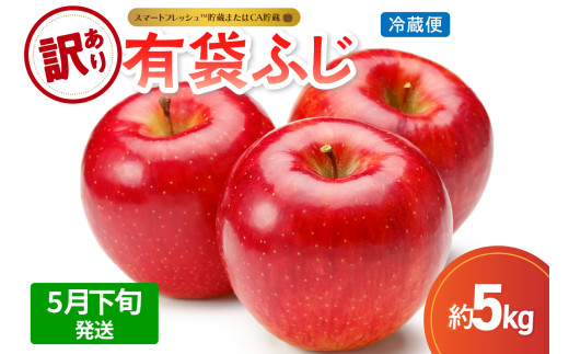 【2026年5月下旬発送】【訳あり】りんご有袋ふじ5kg(スマートフレッシュTM貯蔵又はCA貯蔵・クール便)