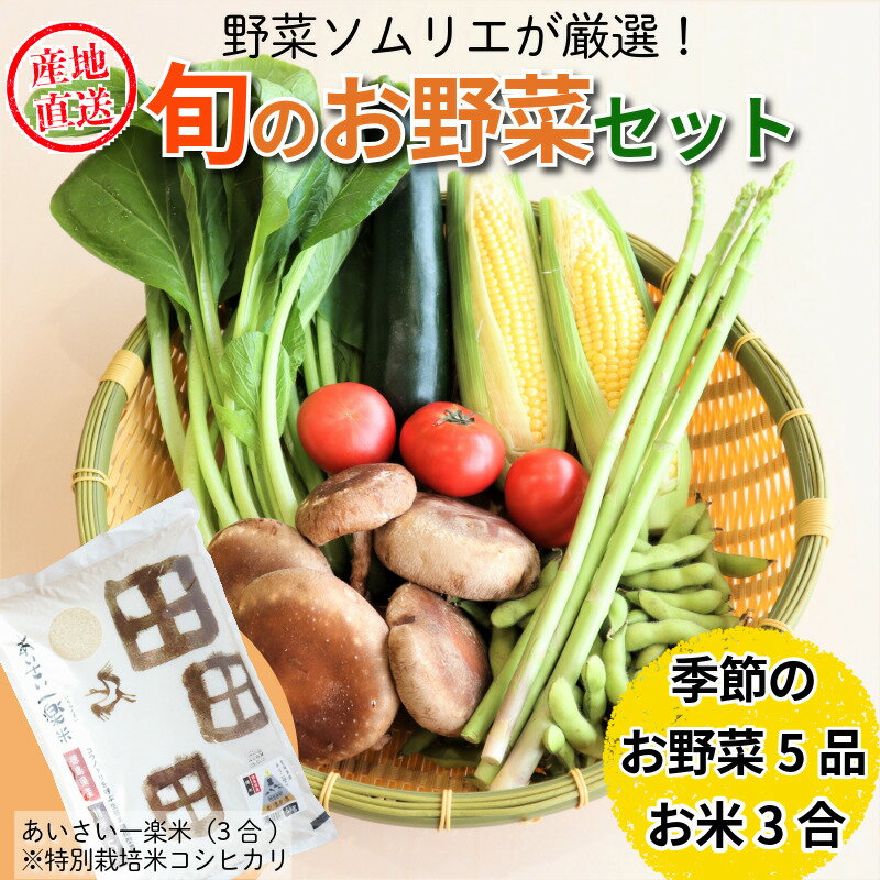 【ふるさと納税】 エシカル野菜5種とお米のセット 野菜 米 新鮮 採れたて 産地直送 やさい とうもろこし トマト 減農薬 きのこ オクラ 玉ねぎ 美味しい 小松島市