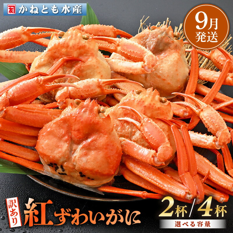 【ふるさと納税】【訳あり】≪浜茹で≫越前産 紅ずわいがに 約700g × 2杯 〜 4杯 食べ方しおり付【紅ズワイガニ カニ かに 蟹 姿 ボイル 冷蔵 福井県】【9月発送分】希望日指定不可