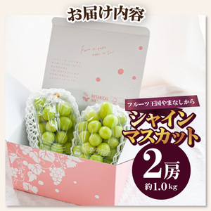 〈2026年度配送分〉シャインマスカット2房（約1.0kg） シャインマスカット 山梨 県産 先行予約 2026年 ぶどう フルーツ 2房 冷蔵 生産量 日本一 甲府 市産 1.0kg以上 フルーツ王