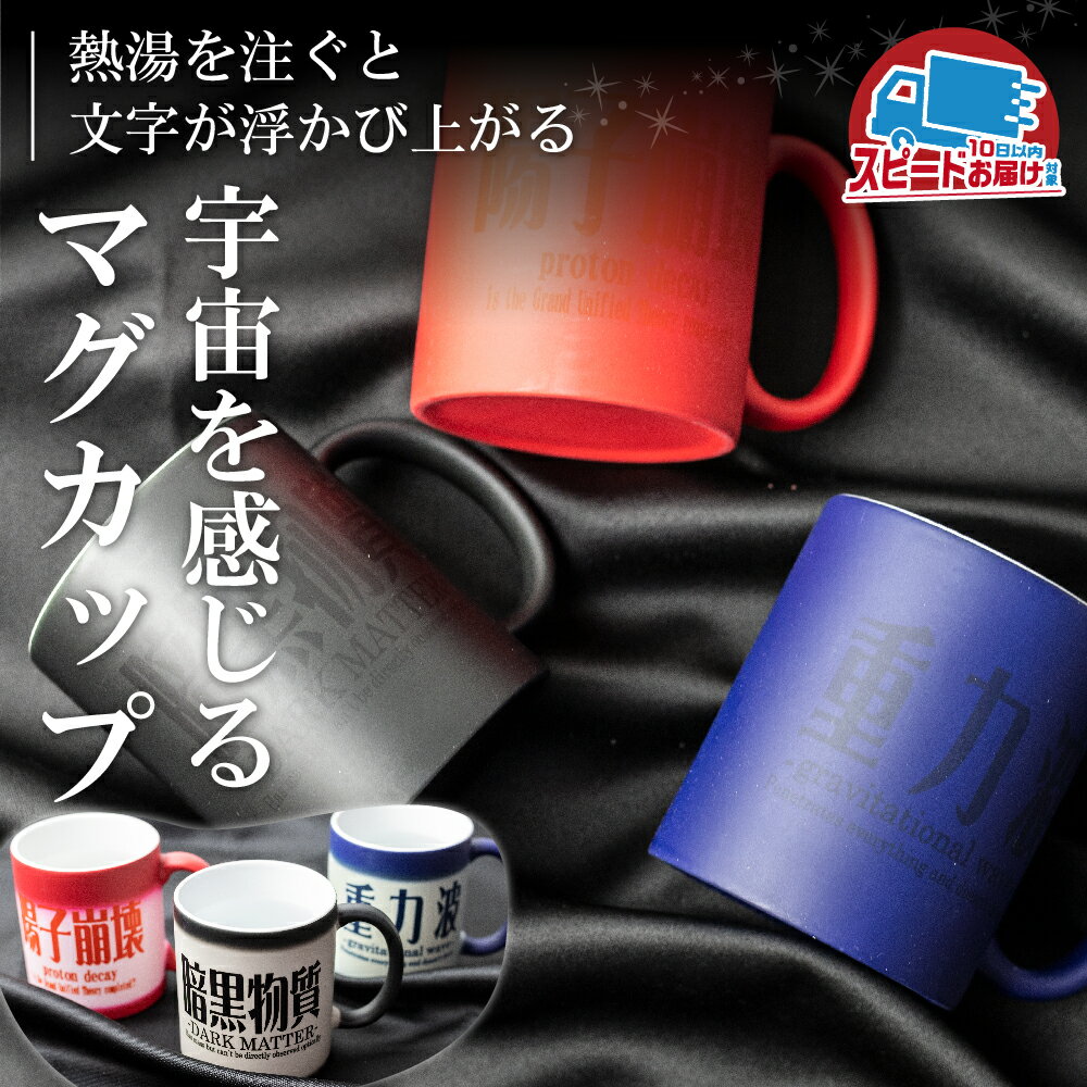 【ふるさと納税】暗黒マグカップ 陶器 おしゃれ 食器 コップ コーヒーカップ キッチン 8000円 8千円［Q1017wx］