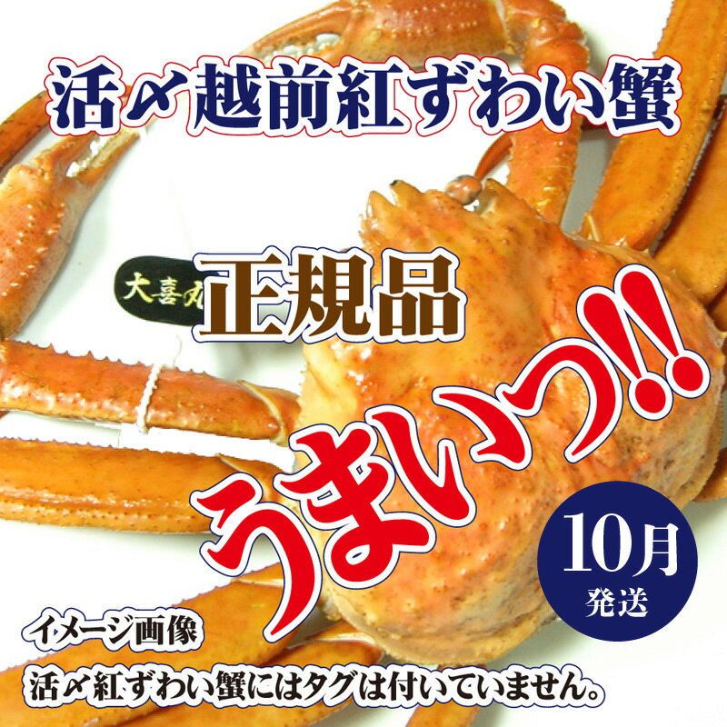 【ふるさと納税】活〆越前 紅ずわいがに × 1杯 旨味満載！！【浜茹で かに カニ 蟹 姿 ボイル 冷蔵 福井県】【10月発送分】希望日指定不可 [e37-x001_10b]