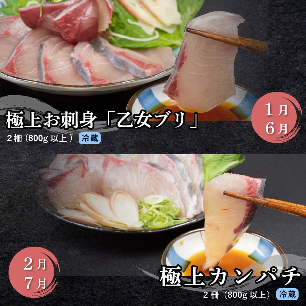 【定期便】1年間お届け！小島水産 がお届けする！美味しいお刺身定期便 12回コース 鮮魚 下処理済 頒布会 海鮮 鰤 ブリ 勘八 カンパチ 鯛 乙女鯛 真鯛 マダイ かつおのタタキ 鰹 カツオ 鰹のた