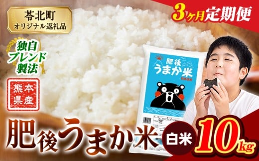 【3か月定期便】米  熊本県産 肥後うまか米 10kg(5kg×2袋) 白米 精米 こめ コメ お米 おこめ ブレンド米《申込月の翌月から出荷開始》熊本県産 コメ お米 おこめ