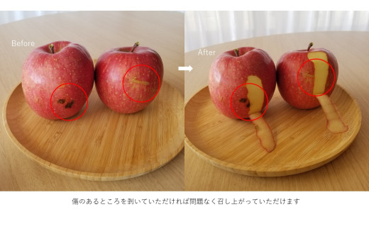 KR34 りんご 王林 家庭用 約5kg（10～16玉） 長野県松川町産／11月上旬頃～配送予定//長野県 南信州 リンゴ 林檎 黄緑色りんご 訳あり 自家用 農家直送 農家支援 産地直送