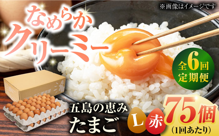 【全6回定期便】【箱入り】五島の恵みたまご Lサイズ 75個入 / 卵 赤玉子五島市 / 五島列島大石養鶏場 [PFQ018]