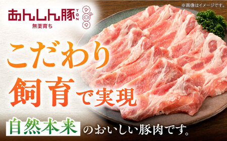 【3回定期便】《バラ凍結》肩ロース薄切り 1.1kg 計3.3kg 豚肉 小分け 薄切り 肩ロース 白川町 / 藤井ファーム[AWAF046]