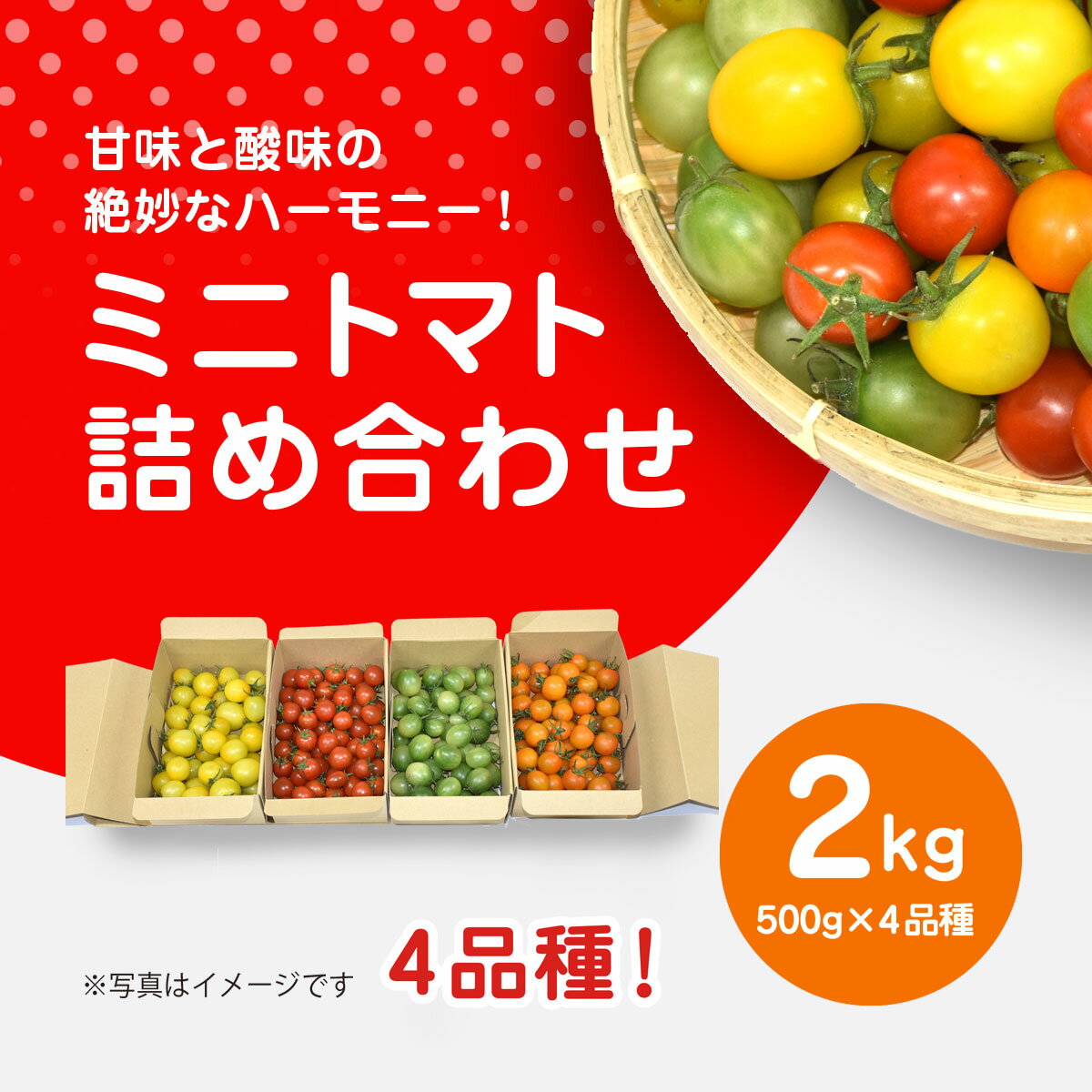 【ふるさと納税】【先行予約】【11月から発送】甘味と酸味の絶妙なハーモニー! ミニトマト 詰め合わせ 2kg（500g×4品種） SMCA002 ※離島（沖縄含む）への配送は不可です