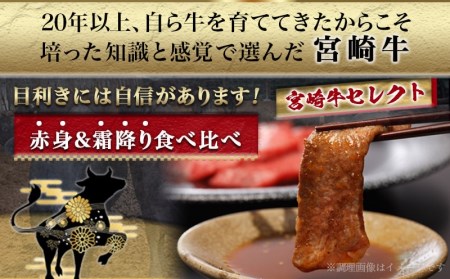 宮崎牛赤身＆霜降り【とろ旨カルビセット】800g_AC-6504_(都城市) 牛肉 牛もも焼肉用(500g) 牛肩ロース焼肉用(300g) 合計800グラム 焼き肉用カット 鉄板焼き BBQ 牛モモ肉