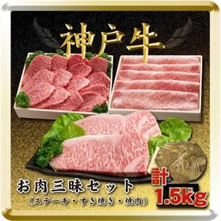 神戸牛 お肉三昧セット 計1.5kg TSLS10【配送不可地域：離島】【1682643】