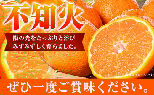紀州有田産不知火(しらぬひ)約5kg株式会社魚鶴商店《2026年2月上旬-3月中旬頃出荷》不知火しらぬい柑橘---wsh_uot117_2c3c_25_15000_5kg---