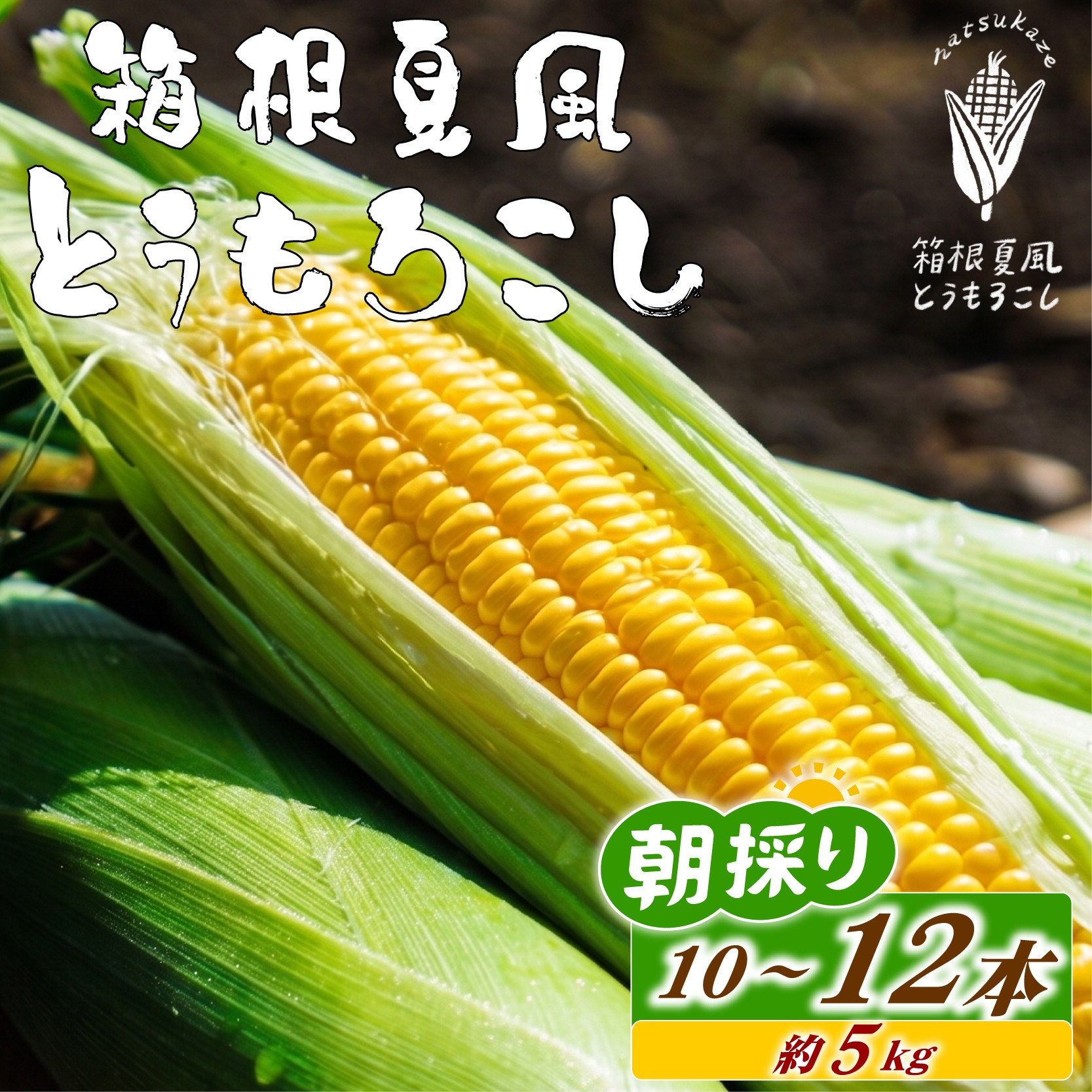 
                  【 6月10日から順次発送】 箱根夏風 とうもろこし 10本～12本 約5kg 野菜 夏野菜 トウモロコシ コーン 朝採れ 新鮮 甘い 自然 農家直送 産地直送 旬 収穫 食べ方 レシピ 茹で方 焼き方 保存方法 おいしい 美味しい おすすめ 特産品 名産 贈り物 ギフト 三島市 静岡県 OMR2026
                