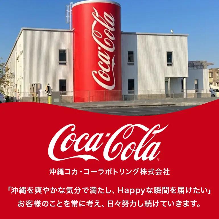 【沖縄限定販売！】ファンタ　シークワーサー　500ml×24本　｜シークワ―サー　ファンタ AY03