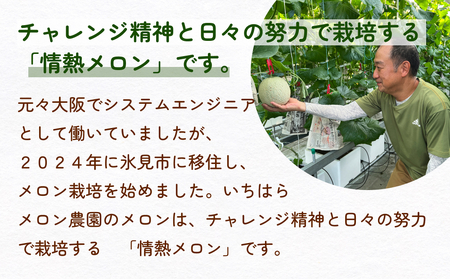 【訳あり】富山県産 アールスメロン（おまかせ計2個） 富山県 氷見市 メロン めろん 果物 くだもの フルーツ