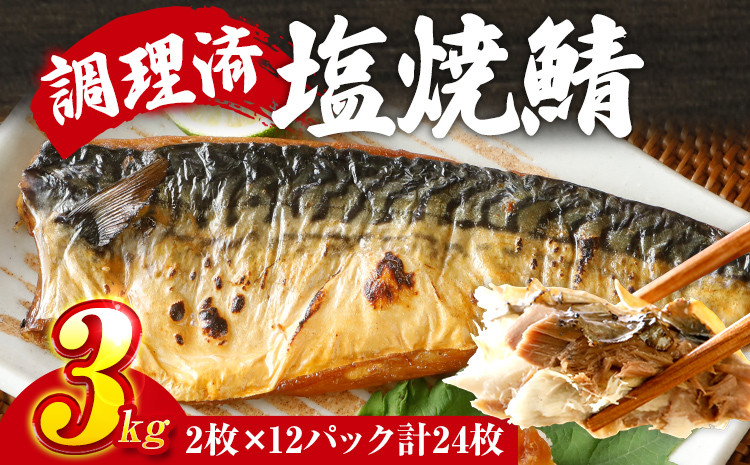 
            さば 塩サバ 塩焼鯖 2枚×12P（約3kg） 大ぶり 調理済 レンチン 温めるだけ 脂のり 惣菜 晩御飯 おかず ジューシー 冷凍 お弁当 レンジ調理 サバ 自社製造 朝ごはん 和食 簡単調理 アレンジ 塩焼き
          
