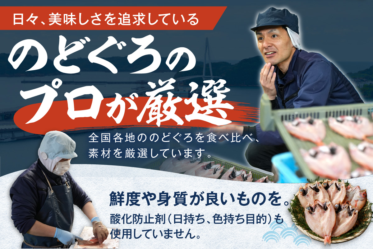 島根県浜田加工ノドグロと真イカの一夜干し合計6枚（約500g） 【005_2117】