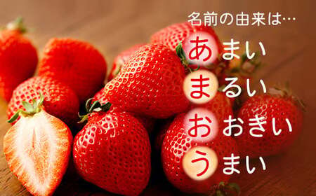 【アフター保証】贈答用 あまおう 約400g【2026年2月上旬～2026年4月上旬発送予定】 いちご イチゴ 苺 化粧箱入り