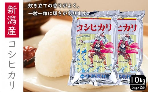 新潟産コシヒカリ10kg コシヒカリ 10kg 米 お米 こめ コメ おこめ 新潟　