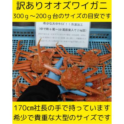 ふるさと納税 白老町 大中サイズ訳ありおおずわい　6尾〜10尾入で2kg　冷凍便 |  | 01