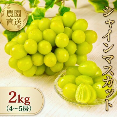 【全房糖度計測】糖度18度以上のみ出荷 シャインマスカット2kg(4～5房)2026年8月～9月発送【配送不可地域：離島】