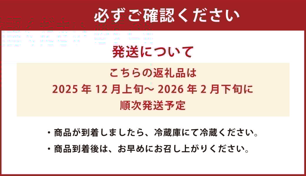 絢音ベリー農園 "絢" 恋みのり いちご 1kg （250g×4パック）