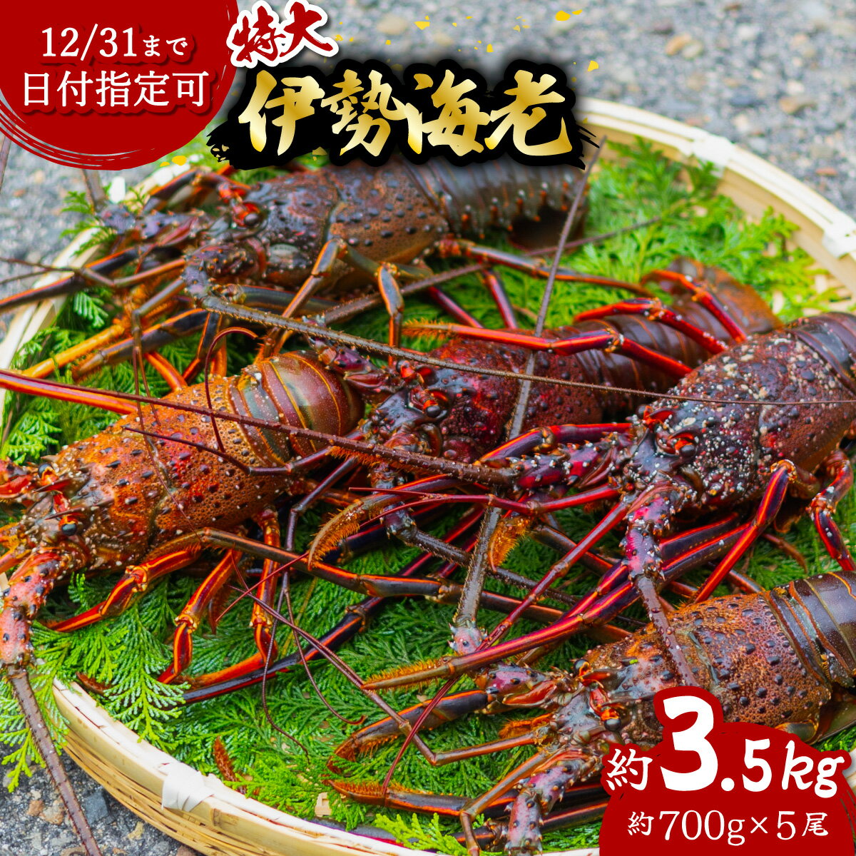 【ふるさと納税】 伊勢海老 特大 約3.5kg 約700g×5尾 伊勢えび 伊勢エビ いせえび イセエビ 海老 えび エビ 海鮮 海産物 海の幸 おせち 高級 国産 海鮮 ギフト 【年内配送／要配送日指定】
