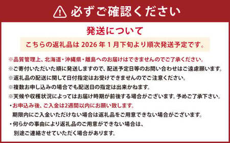 【3回定期便】あまおう 3パック あまおう いちご イチゴ 苺 果物 くだもの フルーツ【2025年1月下旬～3月下旬発送予定】
