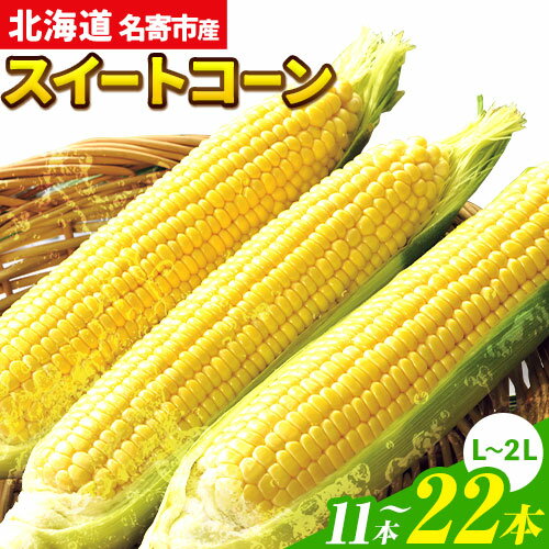 【ふるさと納税】令和7年産 北海道名寄産スイートコーンイエロー L〜2Lサイズ11本 or 22本《2025年8月中旬-9月上旬頃出荷予定》 NPO法人なよろ観光まちづくり協会 北海道 とうもろこし トウモロコシ Lサイズ 2Lサイズ 取り寄せ 新鮮 産地直送 甘い 糖度 冷蔵 レビュー高評価