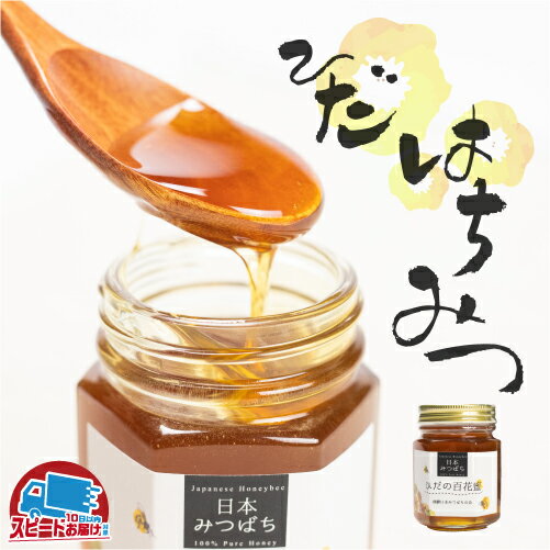 【ふるさと納税】飛騨日本みつばちの会 ひだの百花蜜 150g 1本 はちみつ 蜂蜜 ハチミツ[Q396] 《hida0307》