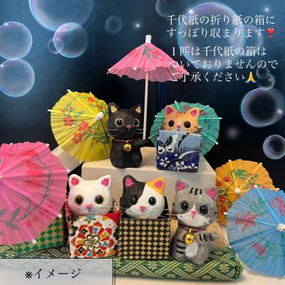 ふるさと納税 東秩父村 笠山猫(かさやまねこ)(6)たかにゃん |  | 02