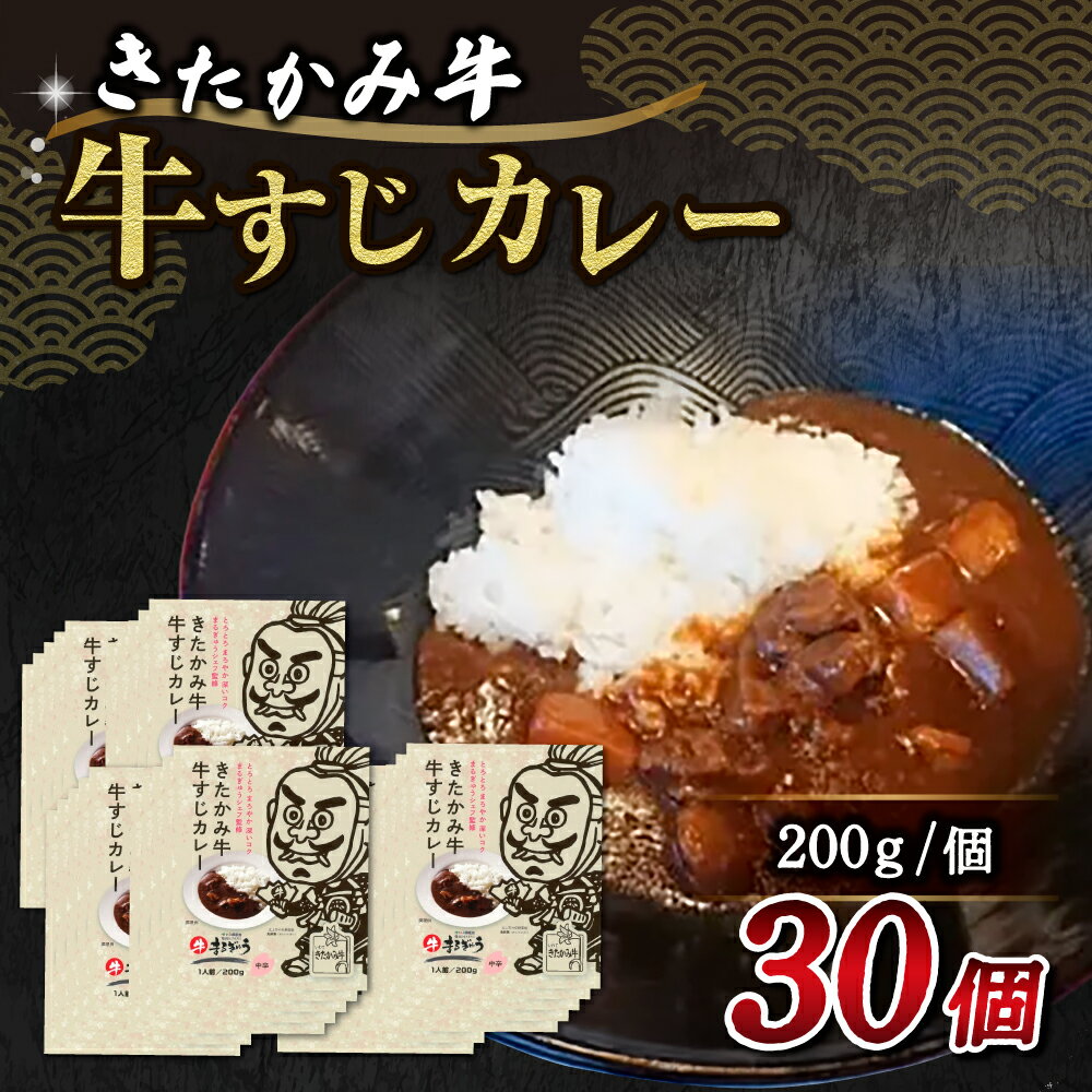 【ふるさと納税】 きたかみ牛 牛すじ カレー （ 200g × 30個 ）中辛 タイプ レトルト カレー 黒毛 和牛 西部開発農産 備蓄 防災