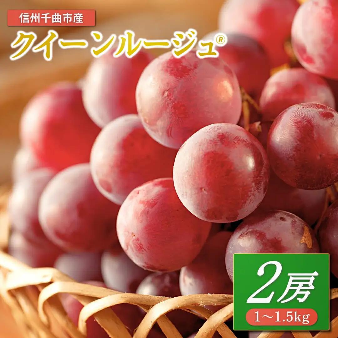【2026年先行予約】ぶどう クイーンルージュR? 1~1.5kg(2房)|クイーンルージュ